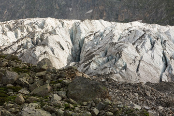 Fototapeta na wymiar Aerial view of show and ice of Kashkatash Glacier on the west Caucasian mountains in Russia.