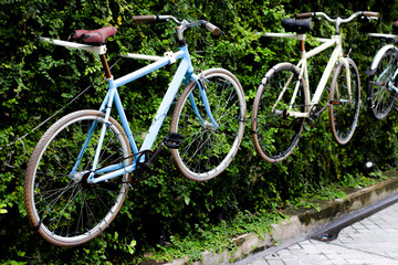Fototapeta premium Bicycle bike decoration with green leaf 