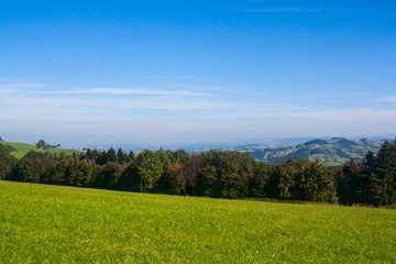 Meadows in the Austrian Alps