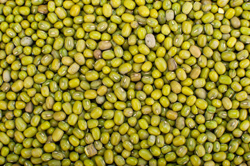 Mung bean, golden bean, Vigna radiata