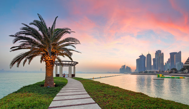 Doha with palm at dramatic sunset, Qatar