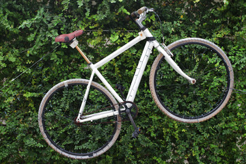 Fototapeta na wymiar Bicycle decorate with green background 