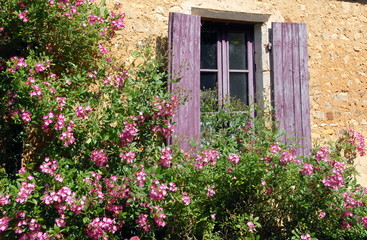 Fototapeta na wymiar Massifs de fleurs, fenêtre et balcon fleuris, volets mauves, Normandie, France