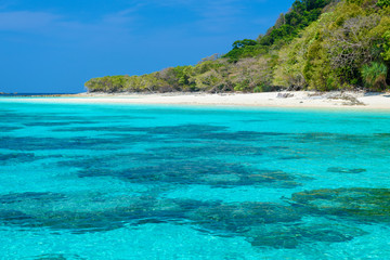 Fototapeta na wymiar Rok island,beautiful nature island in Thailand Krabi