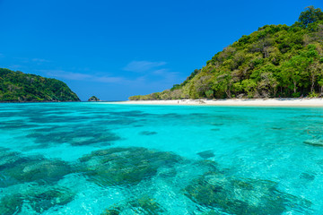 Fototapeta na wymiar Rok island,beautiful nature island in Thailand Krabi