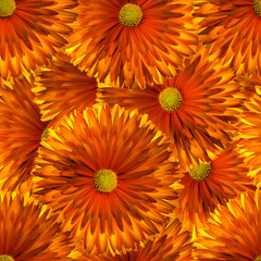 A seamless pattern with bright calendula, marigold flowers.