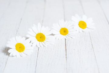Flowers on white wood table background
