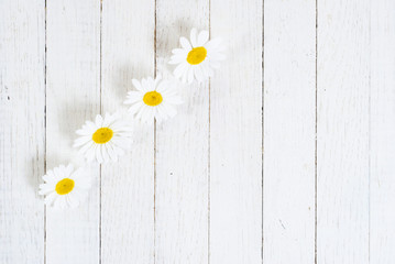 Obraz premium Flowers on white wood table background