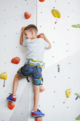 Cute little boy trains on the climbing wall indoor