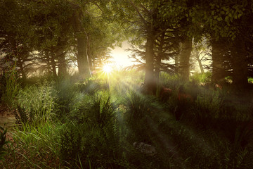 Fototapeta premium Sonne scheint durch Waldlichtung