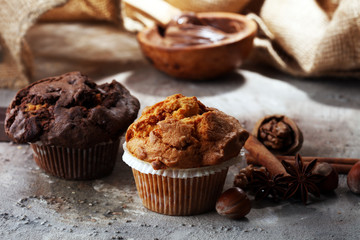 Chocolate muffin and nut muffin, homemade bakery on grey background