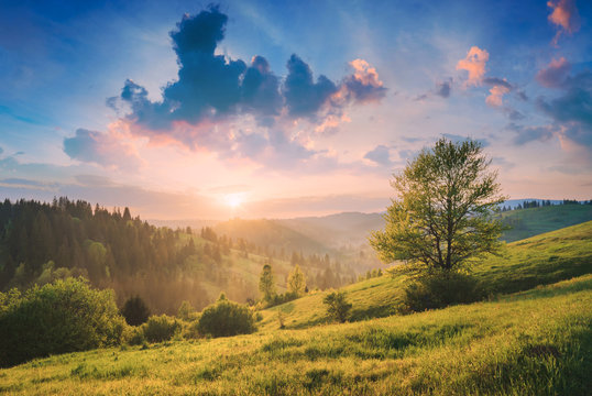 Beautiful nature of Carpathians