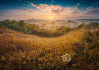 River valley covered with morning fog