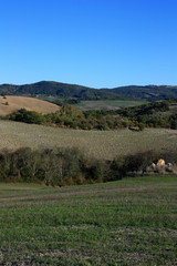Fototapeta premium Cultivated fields in Tuscany, Italy