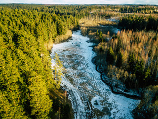 Aerial Photography of a Forest in Winter