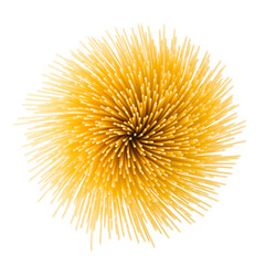 Obraz premium pasta, spaghetti, isolated on white background, clipping path