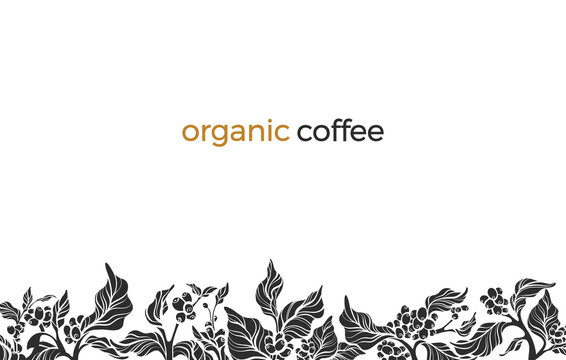 Vector Template With Coffee Branch