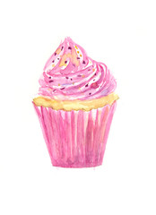 Cup cake watercolor illustrator on white background