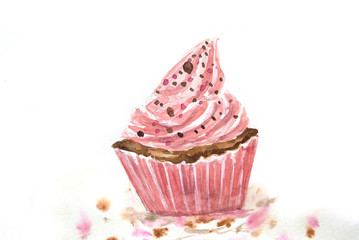 Cup cake watercolor illustrator on white background