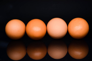 Chicken egg on a dark background.