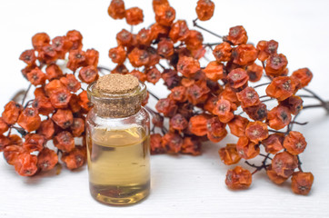 Rowan berry essential oil on white wooden surface background. Herbal medicine. Alternative medicine.