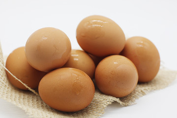 Egg on white background