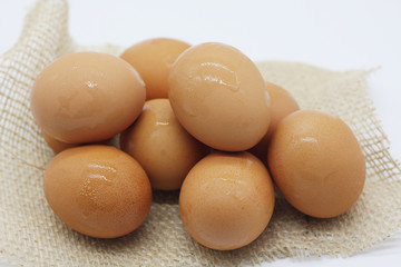 Egg on white background