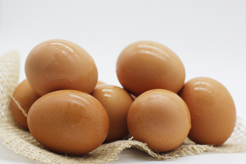 Egg on white background