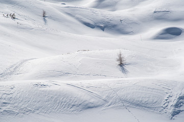 Obraz premium Lonely tree on in a snowy valley