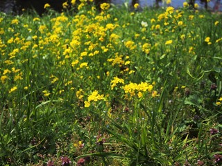 Obraz premium OLYMPUS DIGITAL CAMERA