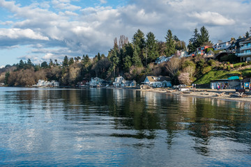 Dash Point Shoreline Landscape 3