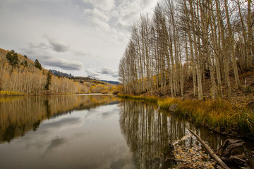 Fototapeta premium Amazing landscapes of San Juan national forest in Colorado, USA