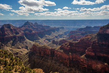 Fototapeta na wymiar A view to Grand Canyon National Park, North Rim, Arizona, USA