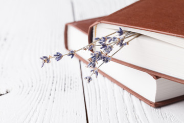 dry lavender in the book