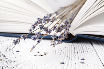 Retro bouquet of dry lavender with books
