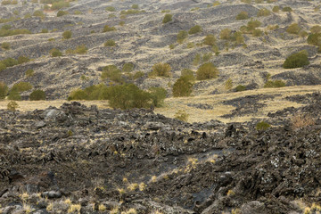 View of a unique valley on the Etna volcano