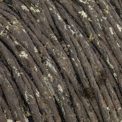 volcanic background or texture