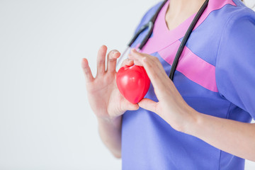 Female doctor with stethoscope holding red heart, isolated on white background, heart healthy care concept with copy space.
