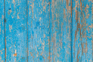 Obraz premium Old wooden texture with shabby blue paint