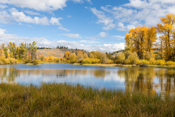 Scenic Autumn Landscape Reflection in Wyoming