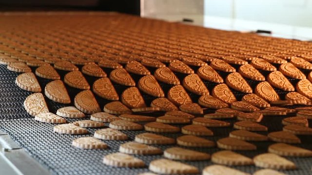 Cookies on a conveyor in a confectionery factory oven. Freshly baked shortbread cookies leave the oven. Production line of baking cookies. Conveyor with cookies.