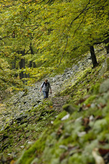 urwaldsteig um den edersee