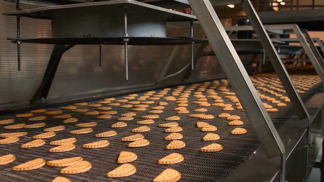 Conveyor with cookies. Conveyor belt with biscuits in a food factory - machinery equipment. Production line of baking cookies. Freshly baked shortbread cookies leave the oven.