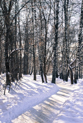 snow-covered forest and a frozen lake in winter in the countryside