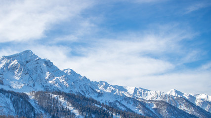 snow-covered mountains and forest against the blue sky