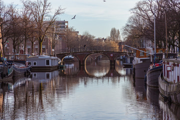 water canals in Amsterdam with a bridge in the middle and traditional architecture