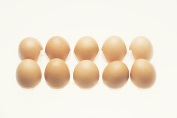 chicken eggs isolated on white