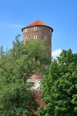 Wieża zamku na wawelu w Krakowie, Polska, na tle błękitnego nieba, na pierwszym planie zielone gałęzie drzew - obrazy, fototapety, plakaty