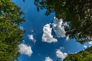 Obraz premium Sky, clouds and trees