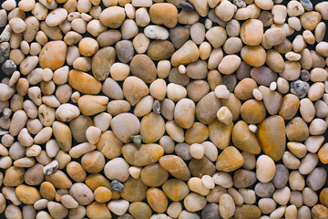 Sea pebbles background, natural seashore stones